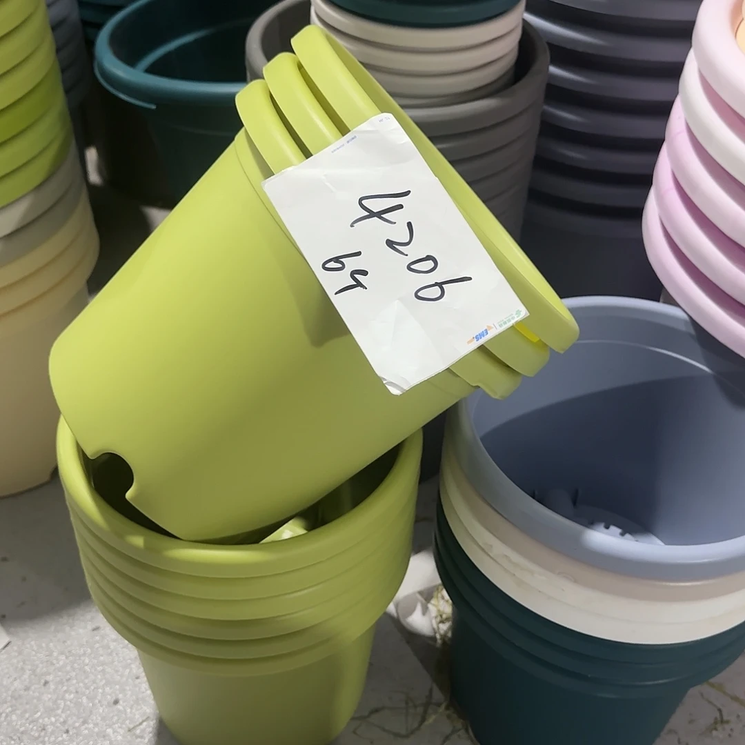 编号4206，4号无托