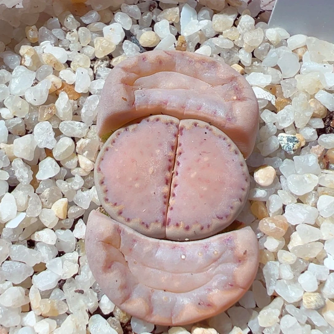 ?***?206-354.我是真的不