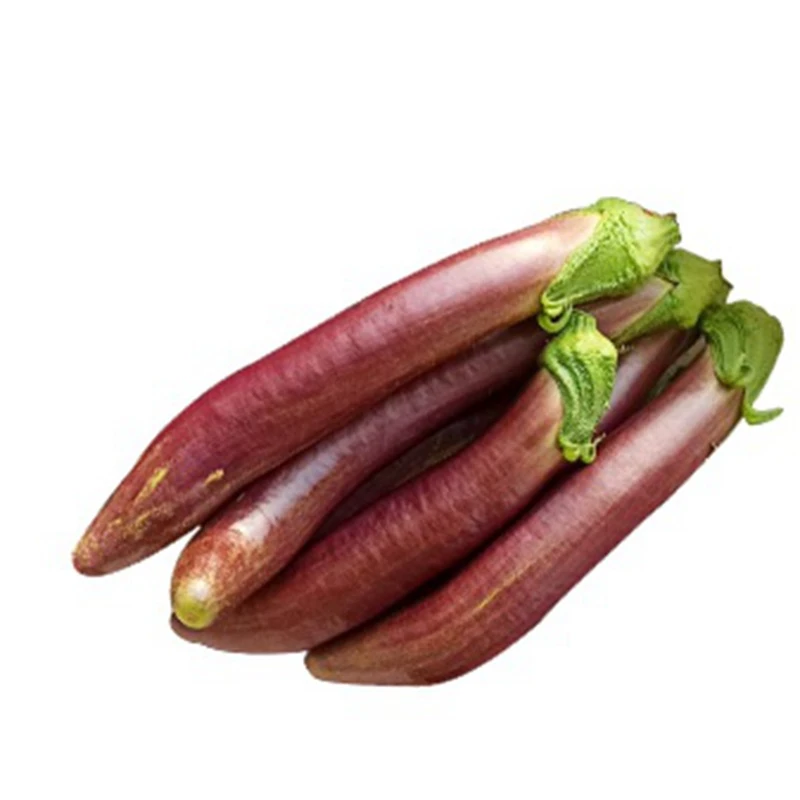 德芳农场德芳玫瑰紫花茄（美味当季，除江浙沪外不保证次日到）