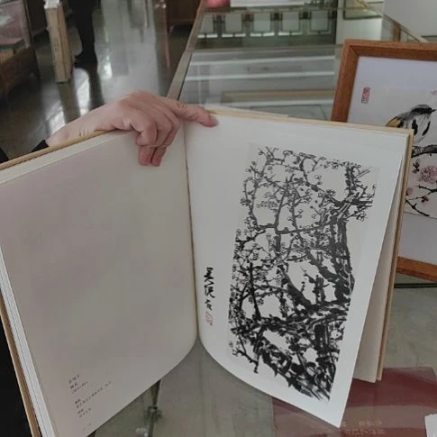 书法一枝春 吴悦石亲签画册