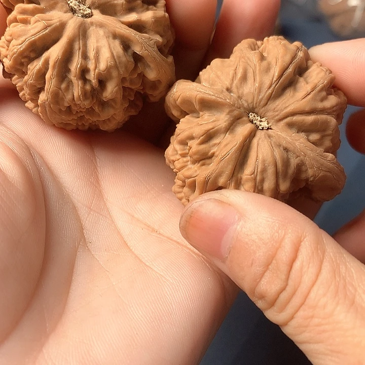٩***و文玩核桃吊坠粗筋