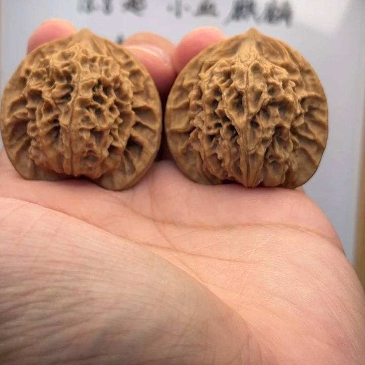 吊坠文玩核桃253盘龙39尺
