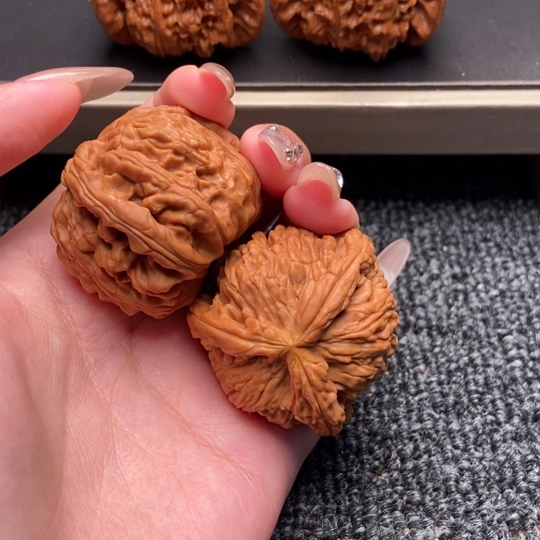 天***息木质类白狮子正奔