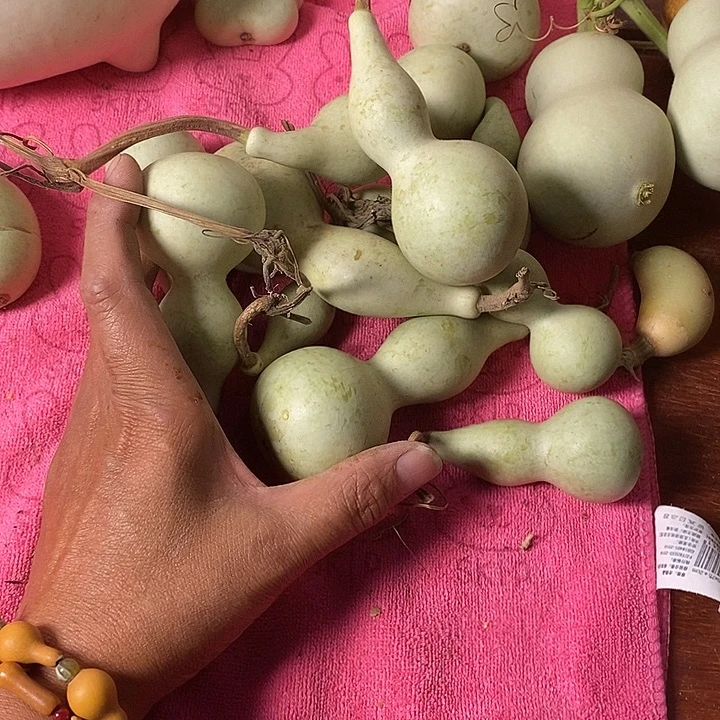 苦***华青皮腰子葫芦手把件