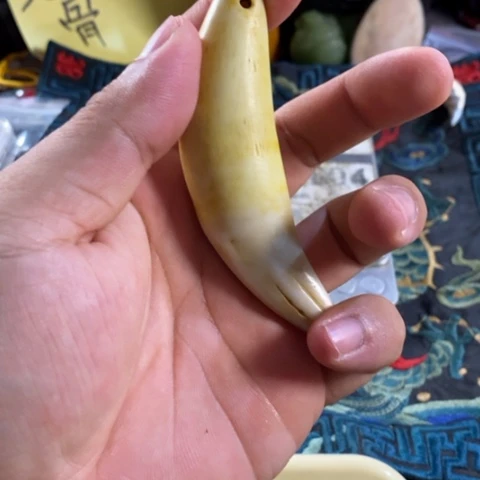 大哥专拍链接一号