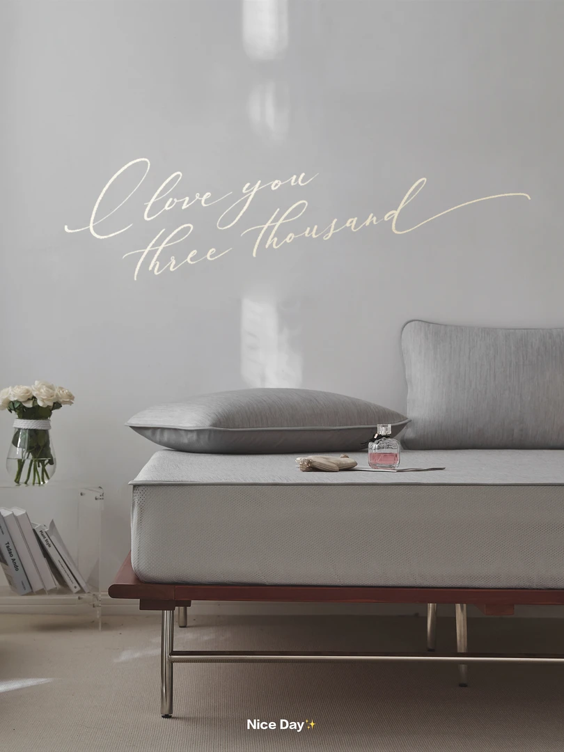 TM家居A类凉感丝席子凉席空调席夏季可折叠床笠款软席1.8三件套