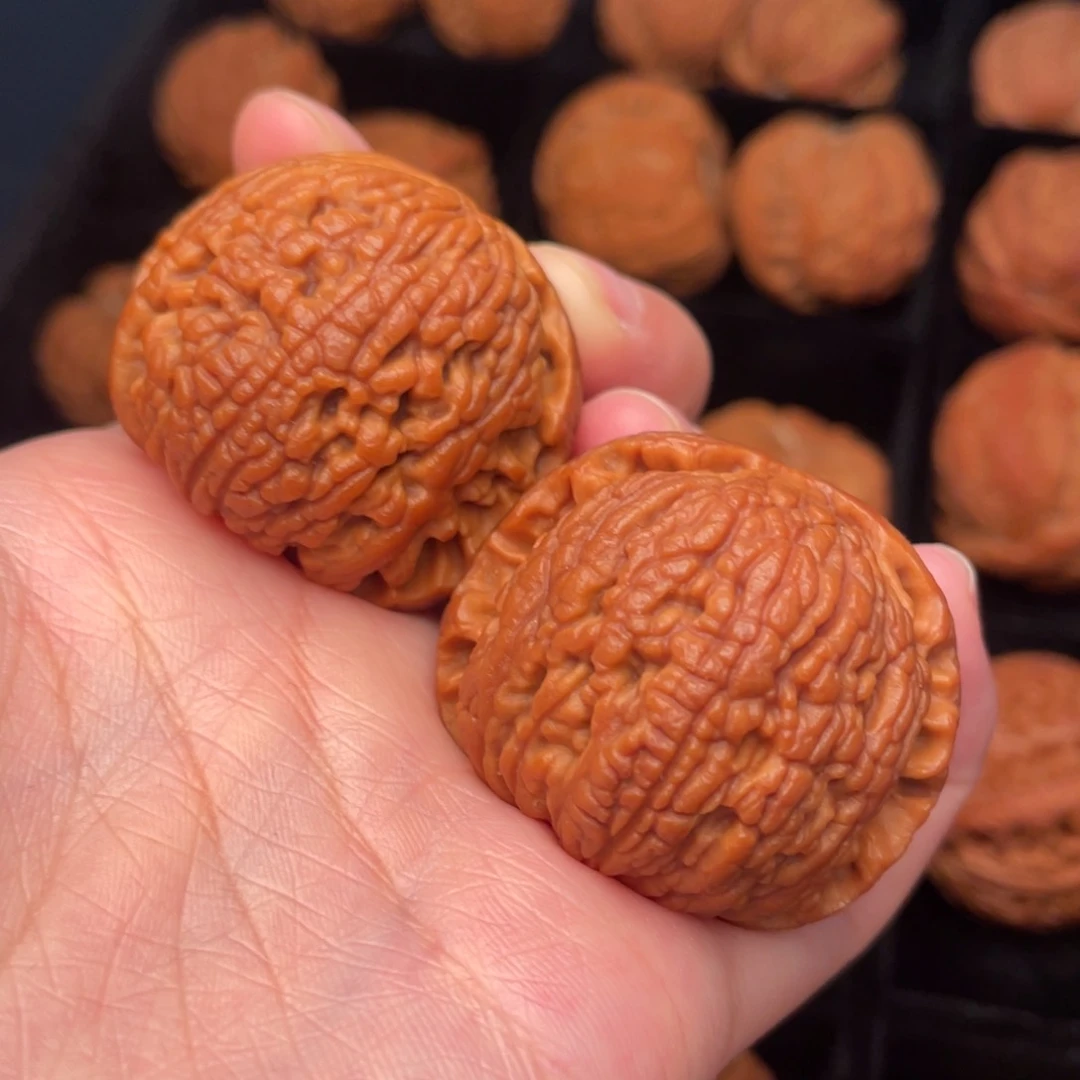 秦岭野生文玩核桃