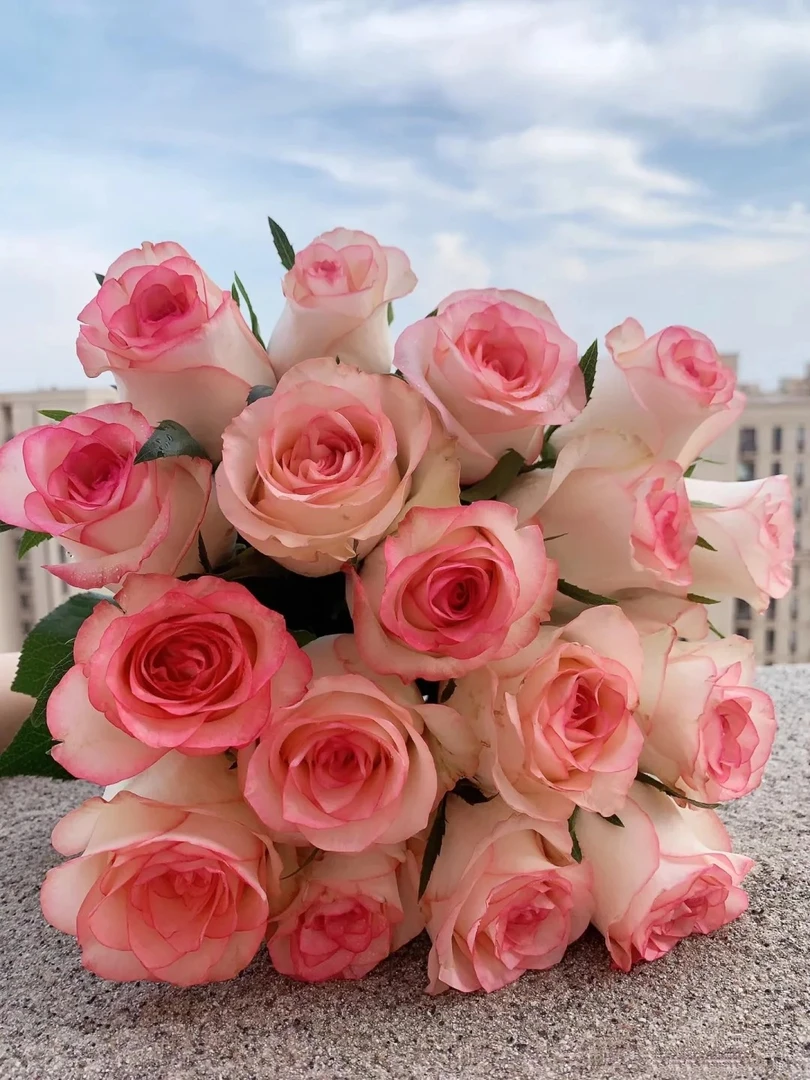 【艾莎】云南基地直发同一地址任意2单升级顺丰送配草