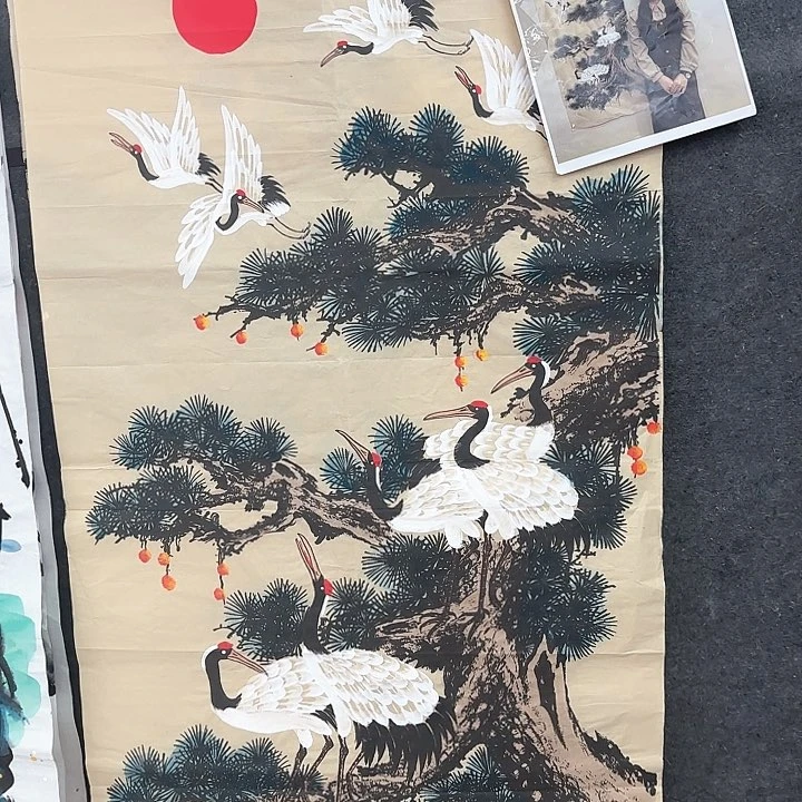 国画无毛或被短柔毛或无