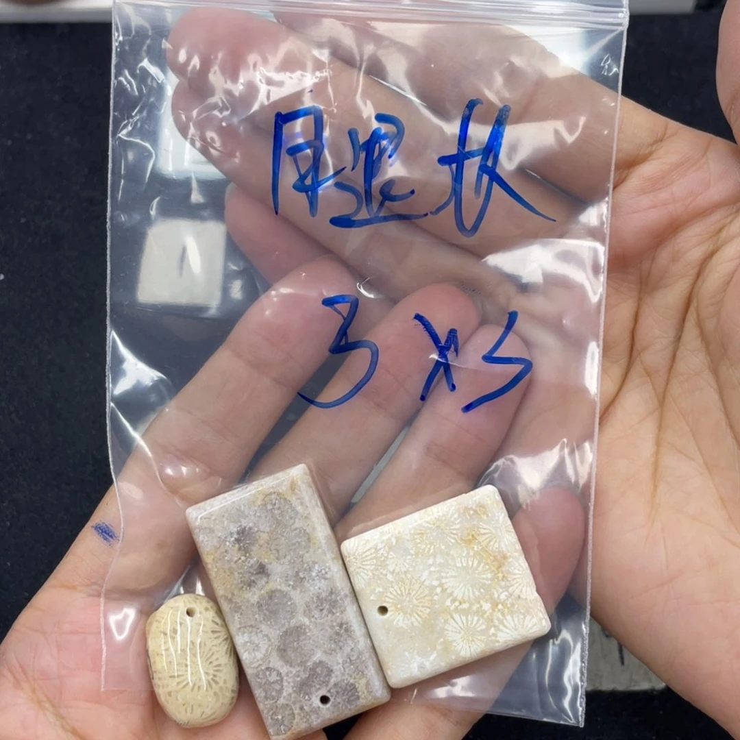 硅化珊瑚（珊瑚玉）未镶嵌颈饰腿***九