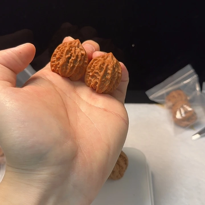 34曹大龙 小奶龙核桃