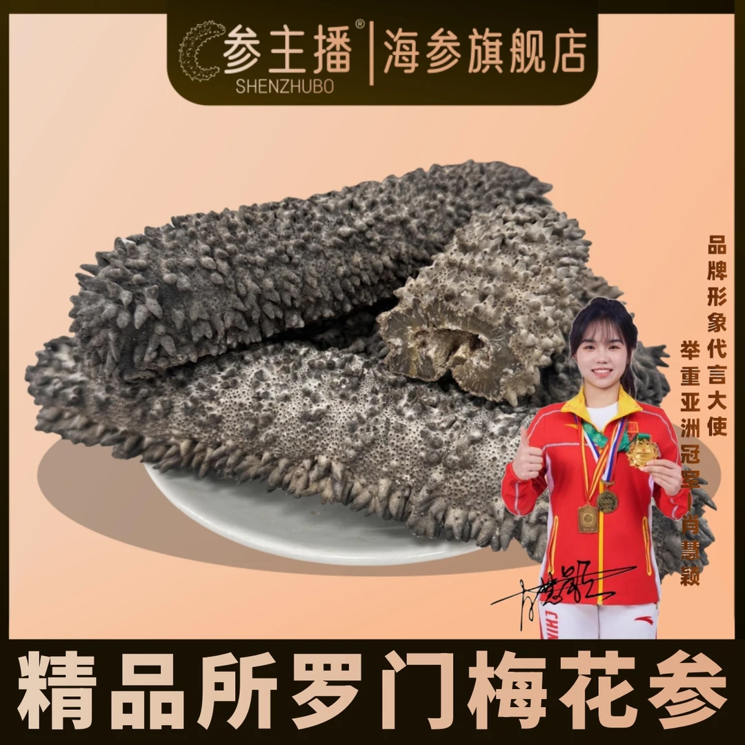 shenzhubo/参主播所罗门大梅花参淡干海参冷水红刺参高皂甙