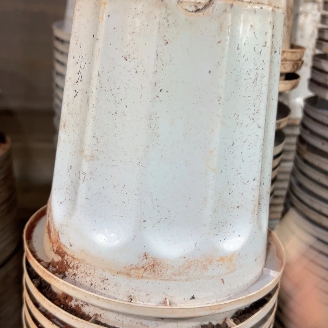 白罗马柱18口径16.5高 6个