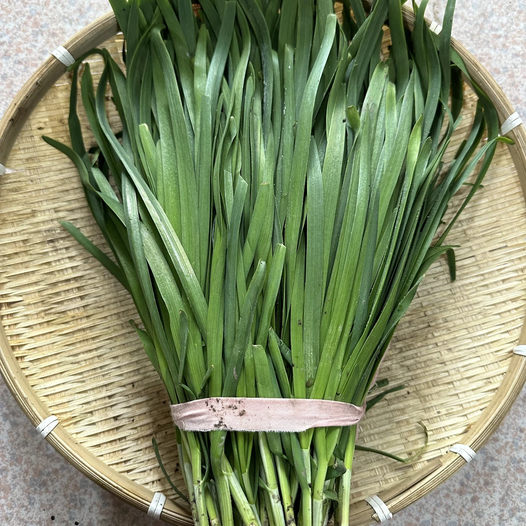【顺丰包邮】新鲜现发苏北韭菜