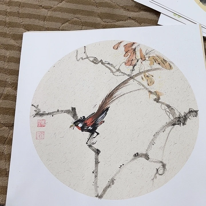 国画花鸟的翅膀和翅膀都是白色的