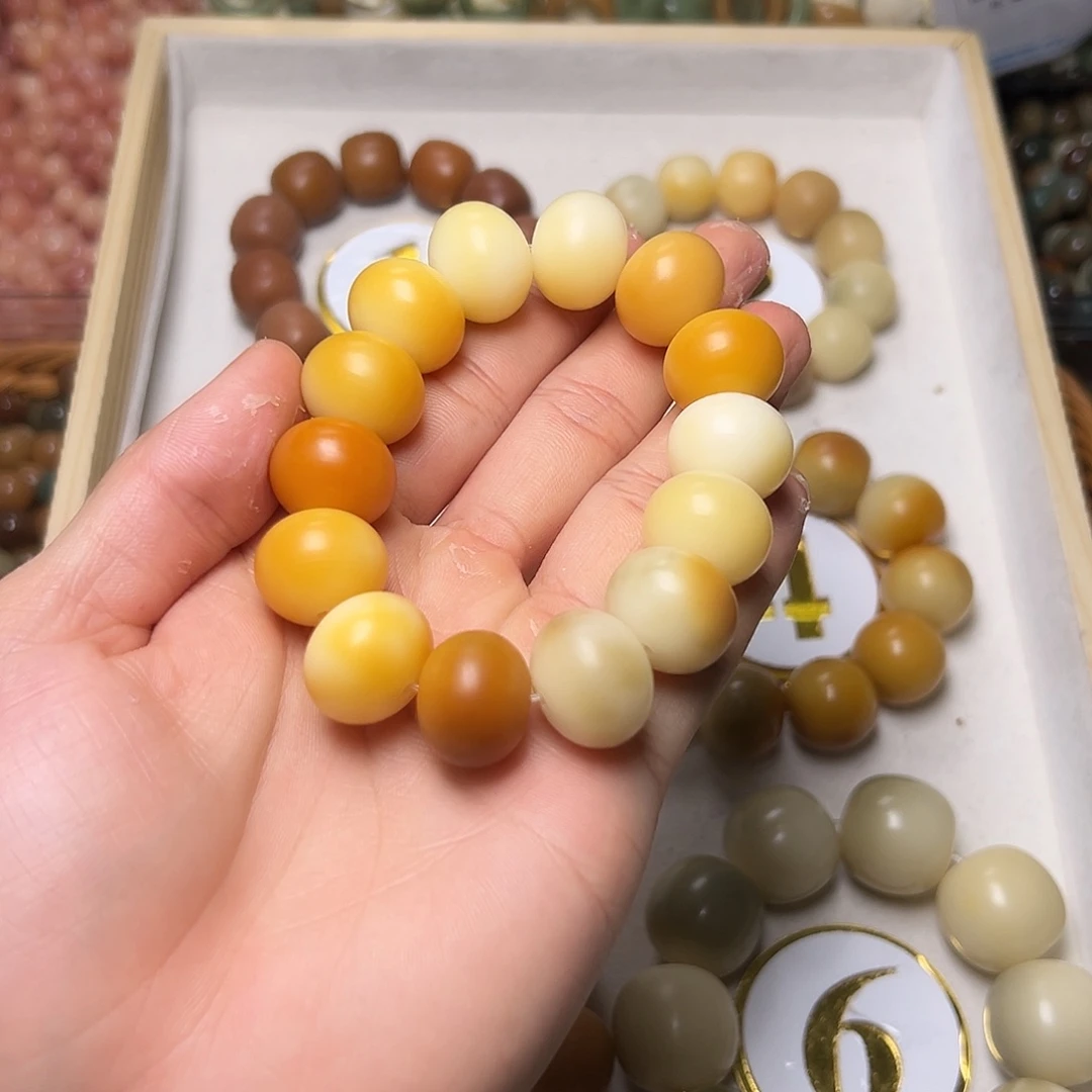 菩提根/象牙果吊坠肥**?65