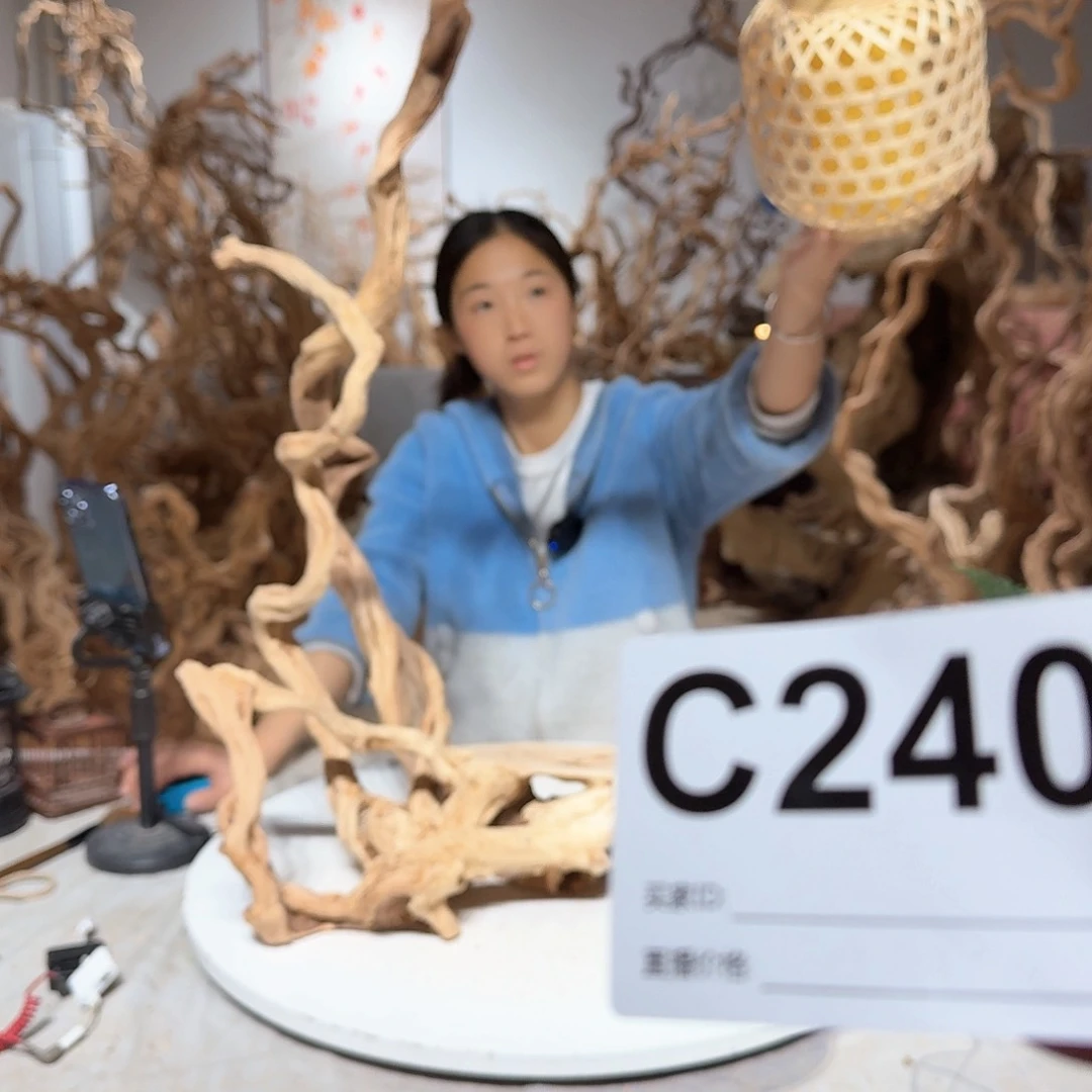 风车木（黑檀木）似**年