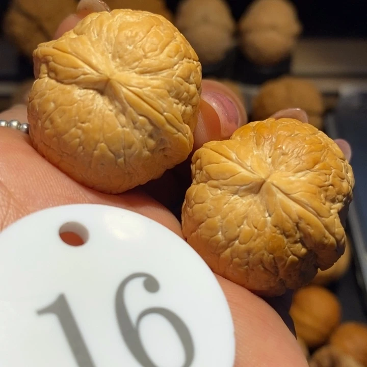 核桃粗筋大西瓜尺寸33