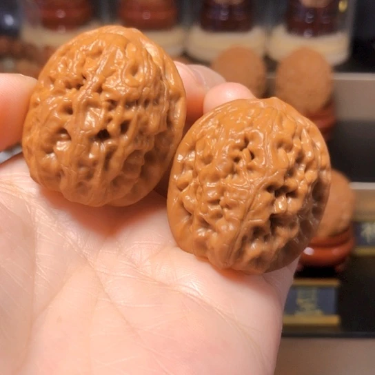 精品野生：平谷霸王