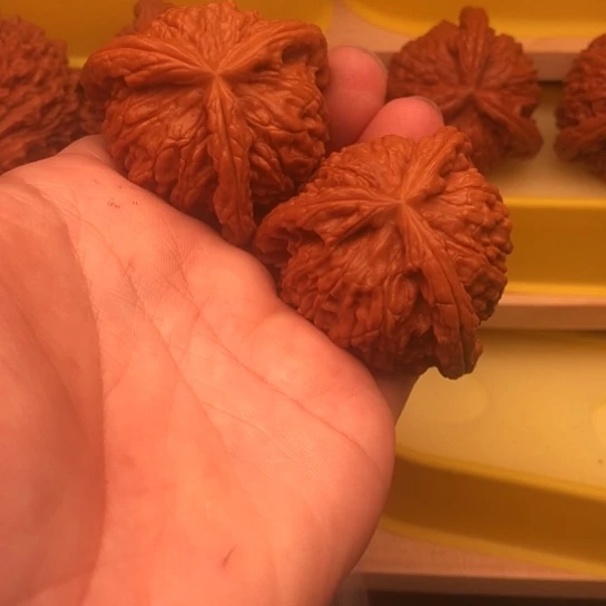 用***4核桃核桃核桃核桃核桃