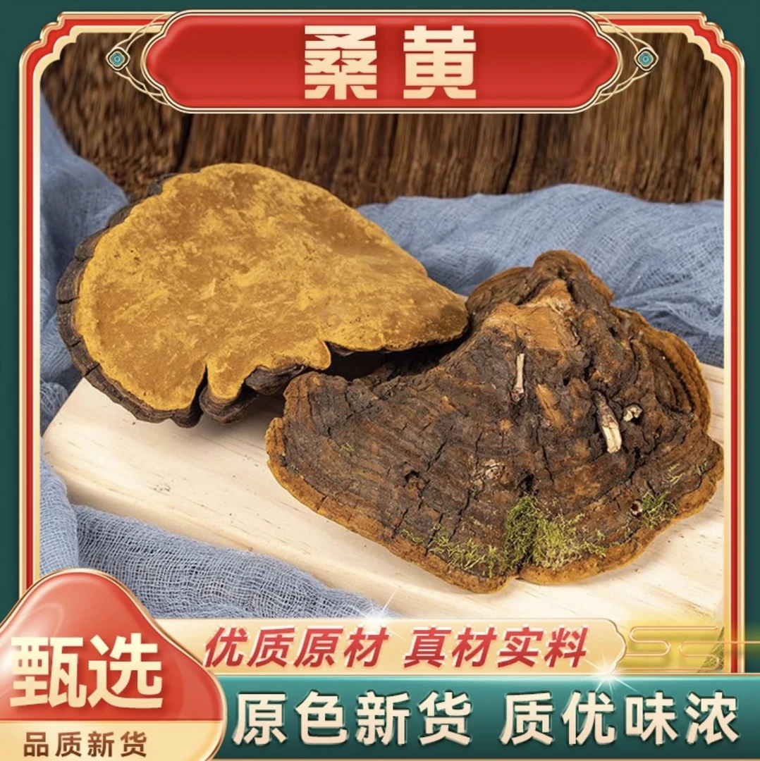 【野生15年以上桑黄】精选原料 自然晾晒 手工筛选源自长白山