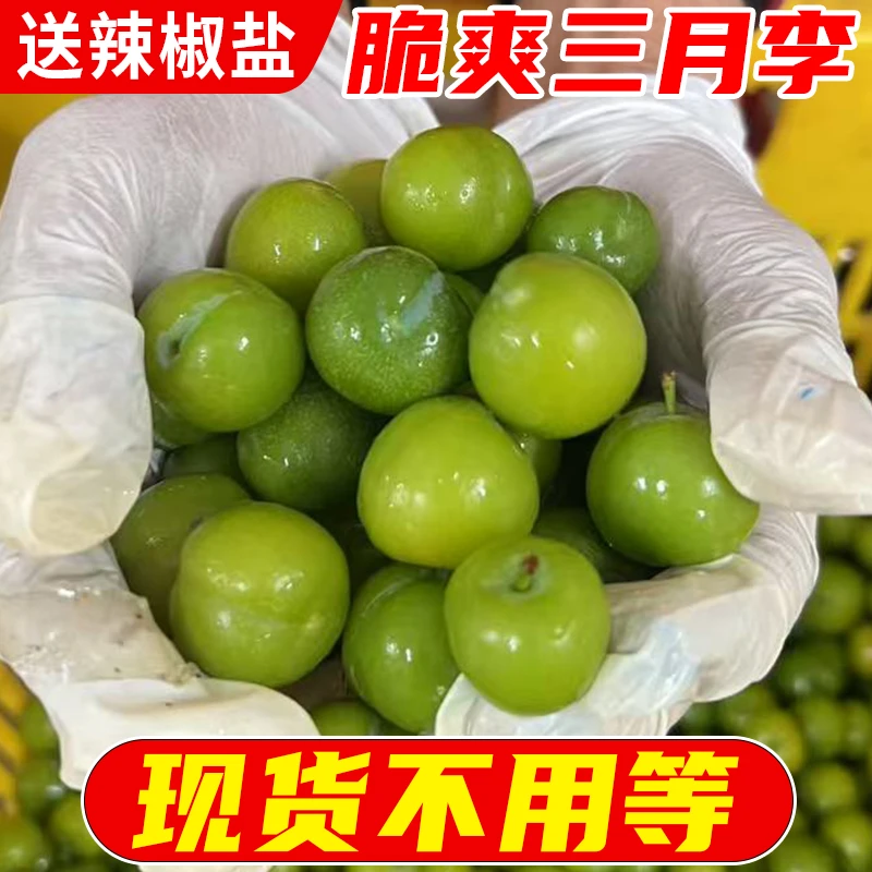 【现货】广东三月李早李子青李子珍珠李脆爽新鲜采摘当季应季水果