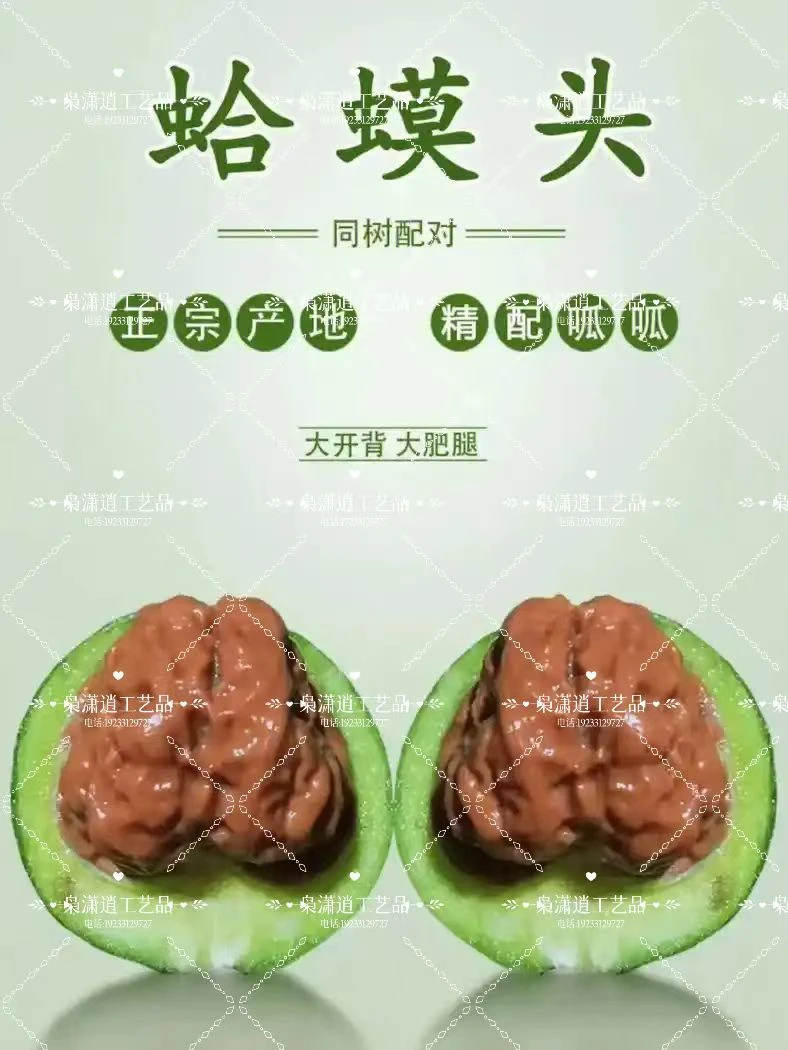 四座楼狮子头麻核桃青皮核桃带皮手把玩文玩核桃