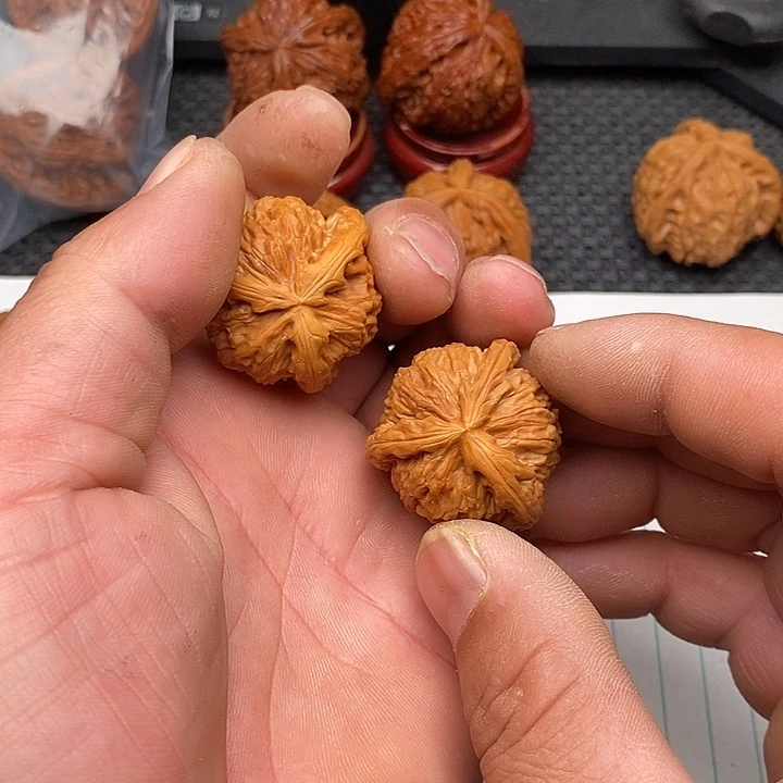 小***子核桃把件福利白狮子18