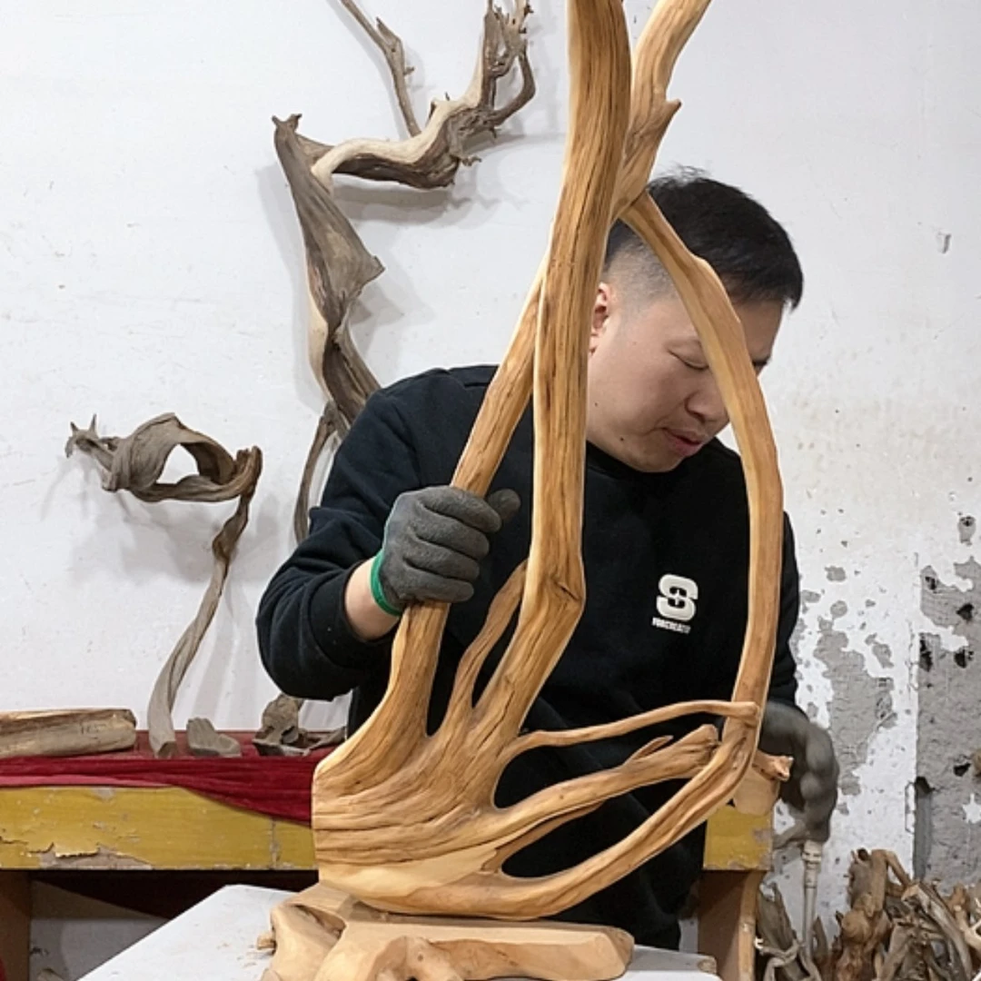 【闪购商品】柏木古**香我们都是好孩子