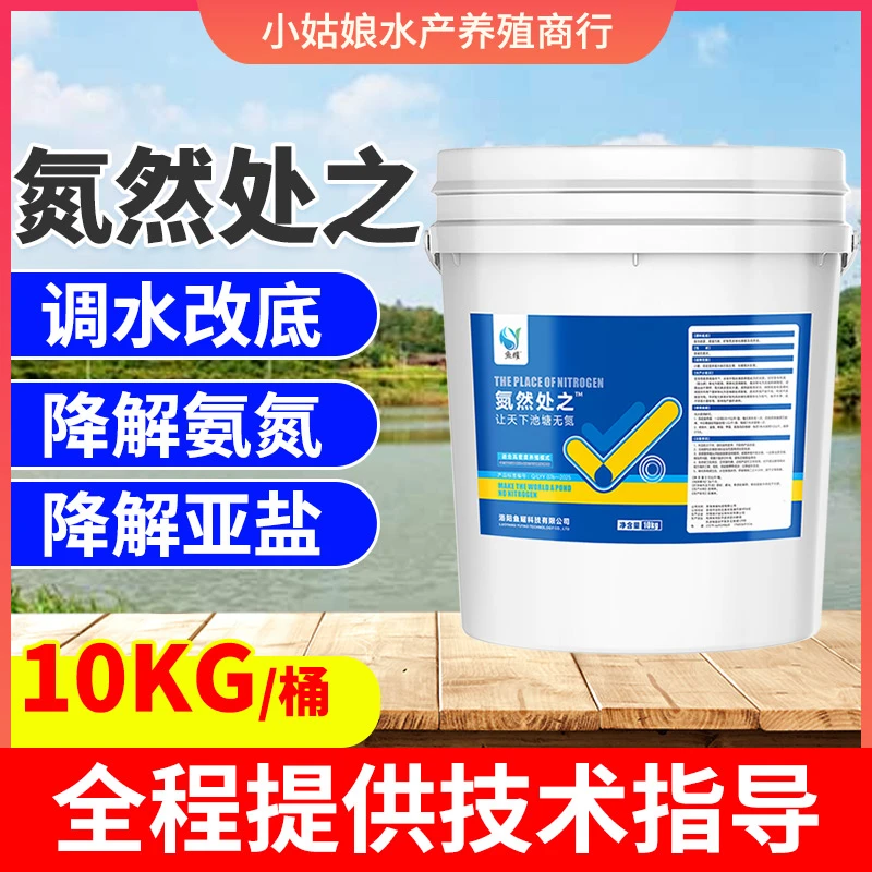 鱼耀氮然处之 调水改底降亚盐花白鲢鳙养殖水库养殖低成本10kg
