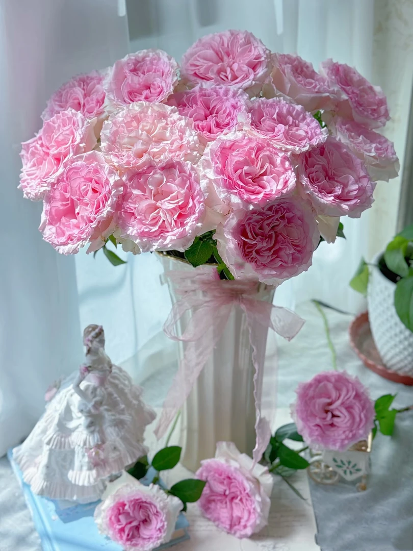 【洛神单头玫瑰】 鲜切花水养花期长鲜切花礼物家养