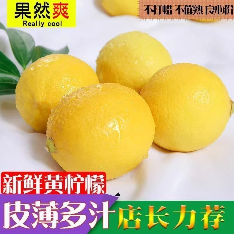 10枚（单果40-60克）四川安岳黄柠檬皮薄多汁榨汁不苦奶茶原料果
