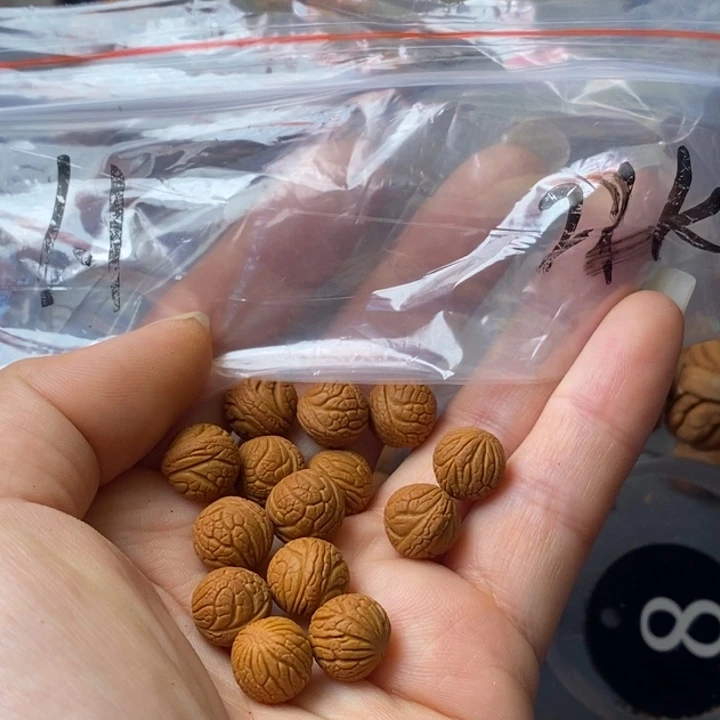 手串文玩核桃秦岭野生龙纹桃核11