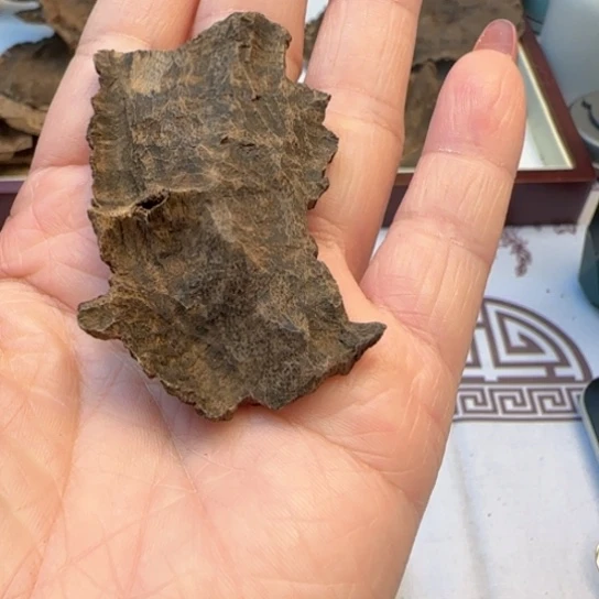 沉香摆件江*海南沉水三亚4.9克