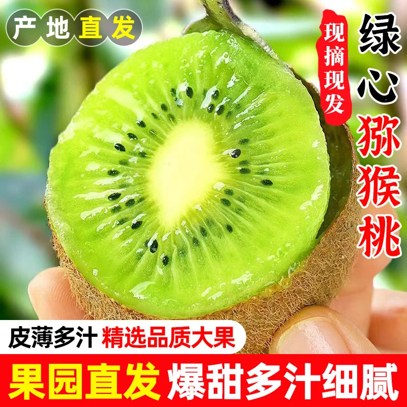 正宗绿心猕猴桃当季新鲜水果香甜多汁现摘现发整箱包邮