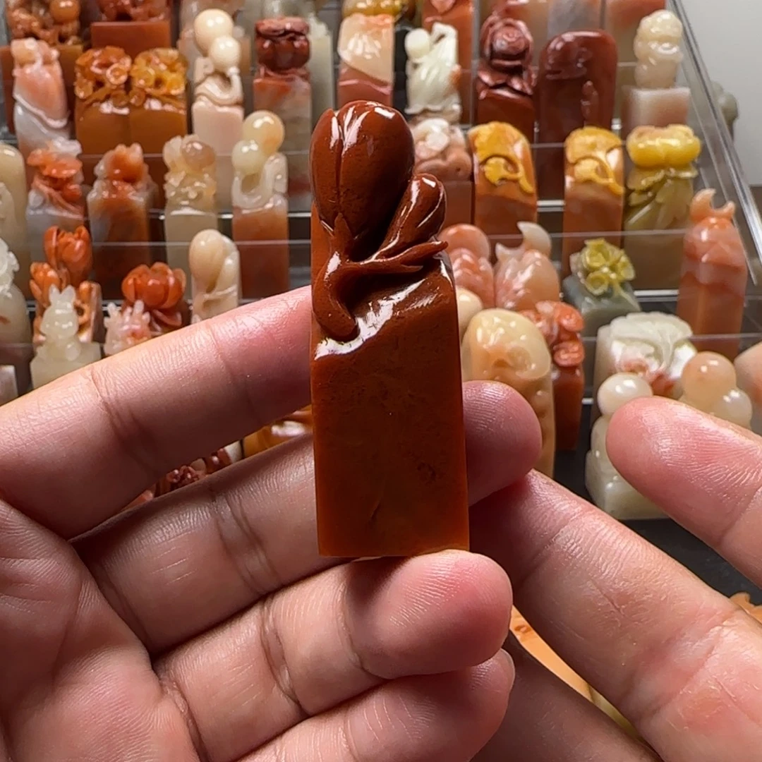 老挝石玉兰  1.9×6.1