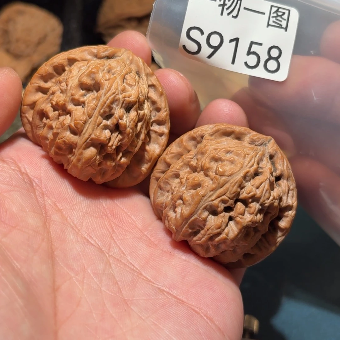 把件文玩核桃白狮子