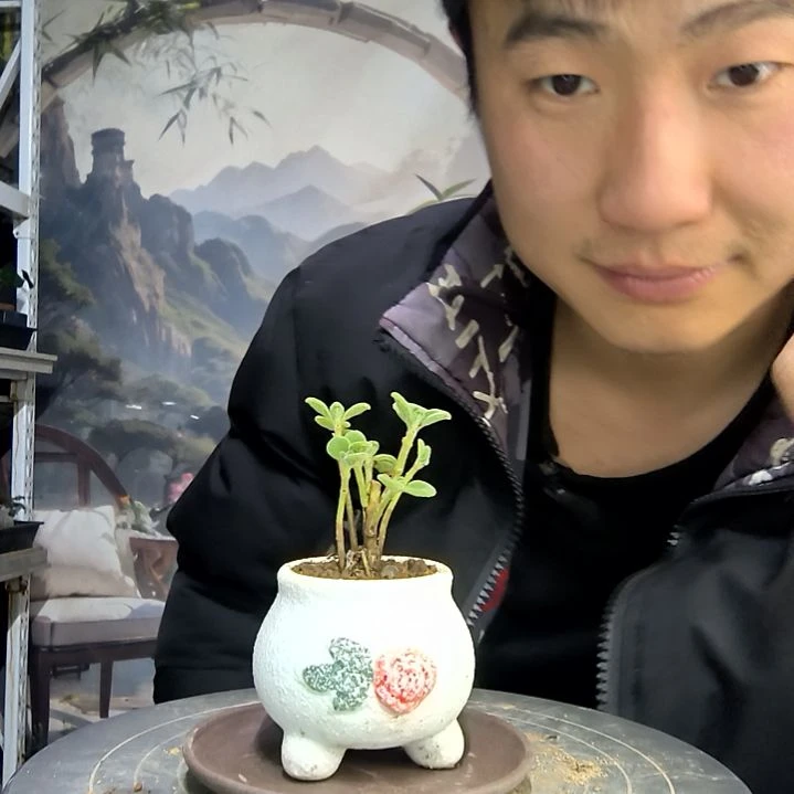 重****～中青园艺一物一拍花165