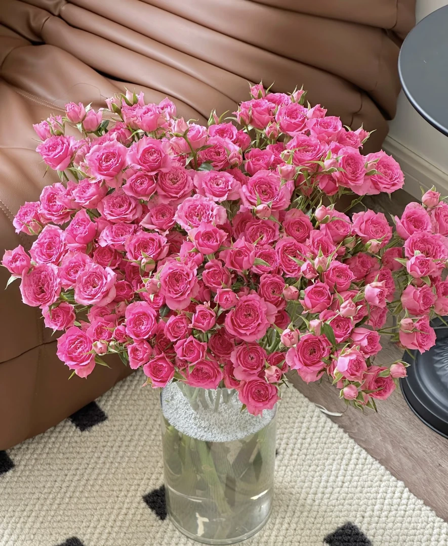 苏菲宝贝玫瑰 同地址一单韵达不售后，两单以上升级顺丰冷链