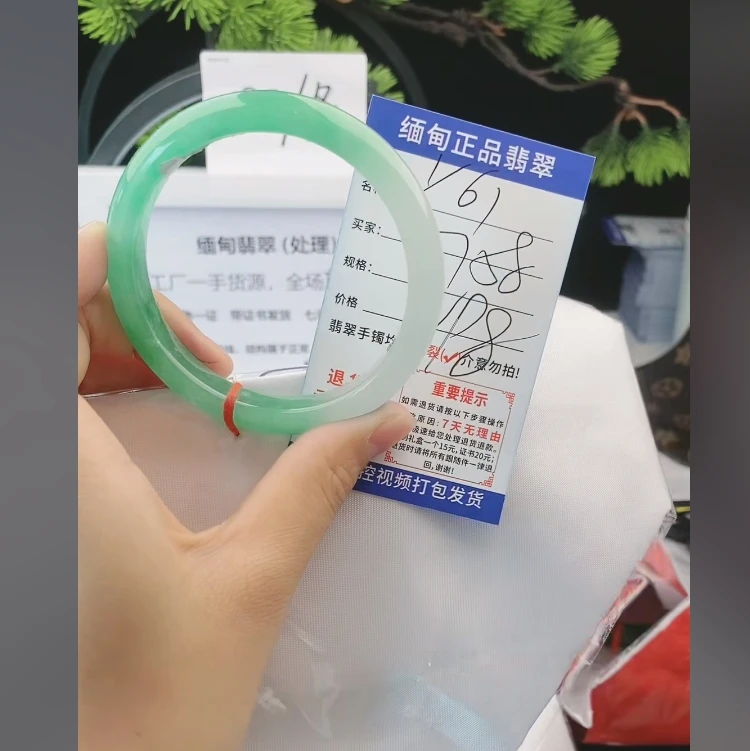 Y61缅甸翡翠手镯处理198/条【一物一证】实物以直播间为准