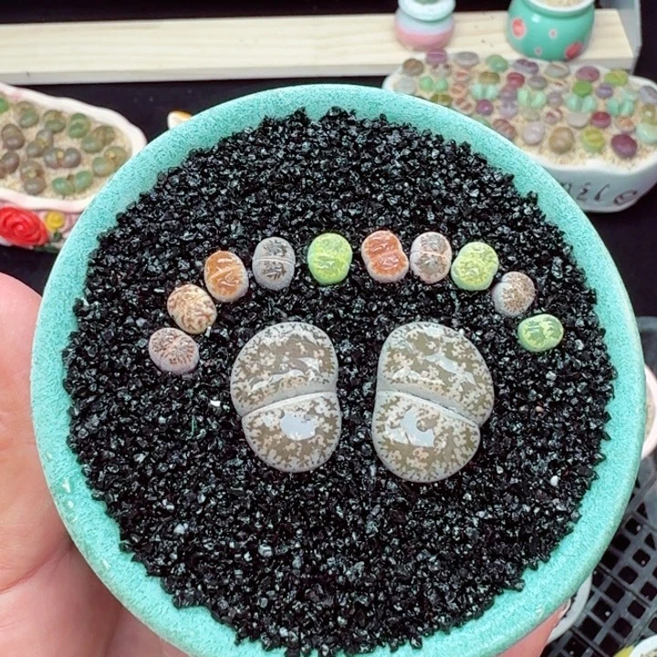 570 零下地区记得拍保温箱