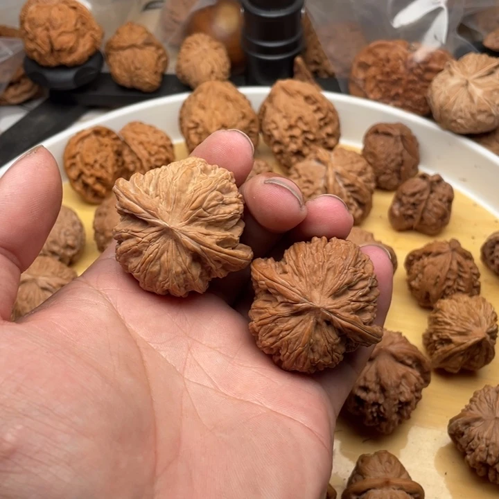 文玩核桃把件风**狼