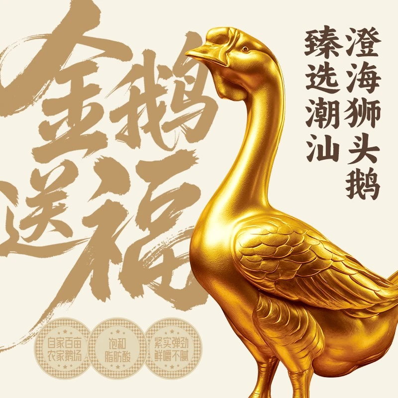 金涛鹅王丸【官方自营】澄海金涛狮头鹅肉脯潮汕特产肉脯