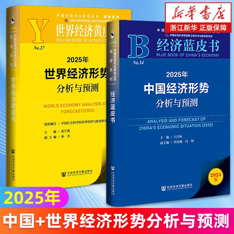 【2册任选】2025年世界经济形势分析与预测+中国经济形势分析与预测