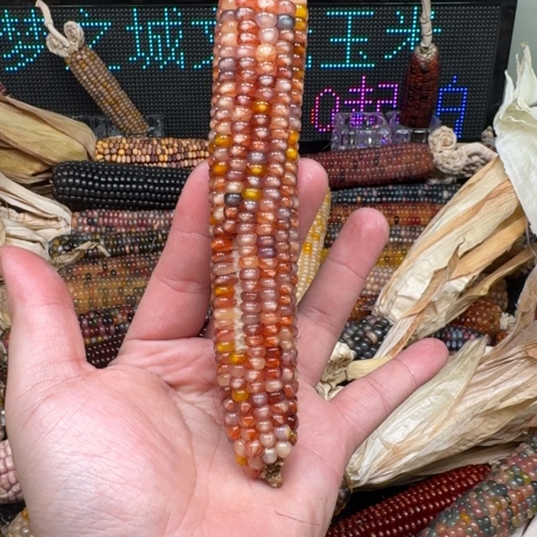 柏香籽/百香籽吊坠你****！