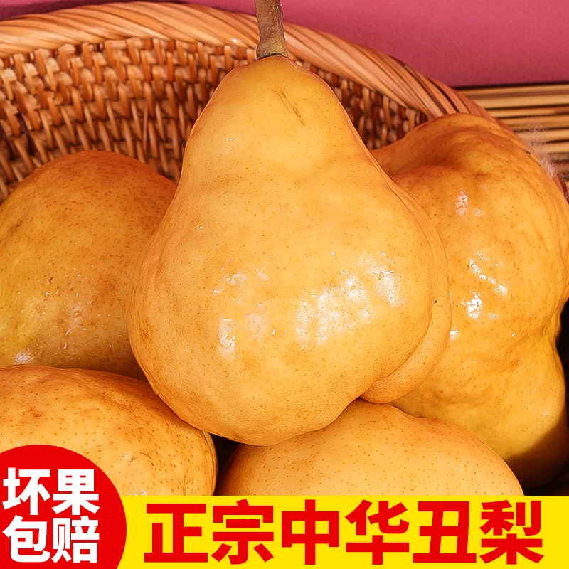 跃居果林【产地直发】山东烟台丑梨口感软糯多汁净重4.5-9斤