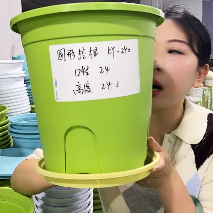 正品圆控口24高24果绿色8只带托