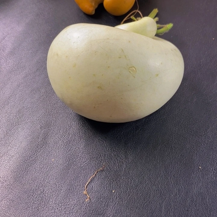 郑***之精品葫芦文玩链接