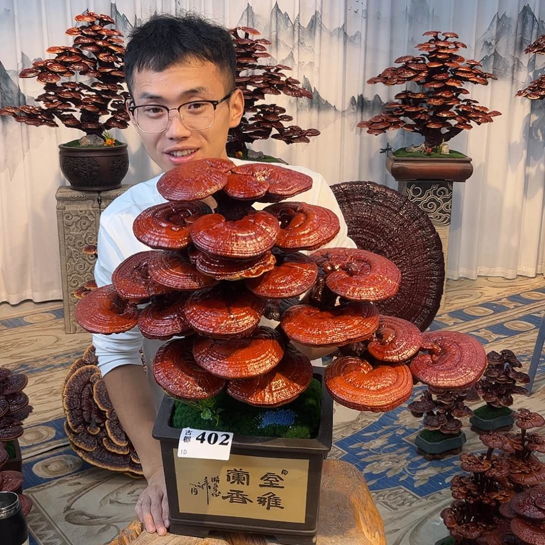 无花朵8888888888888