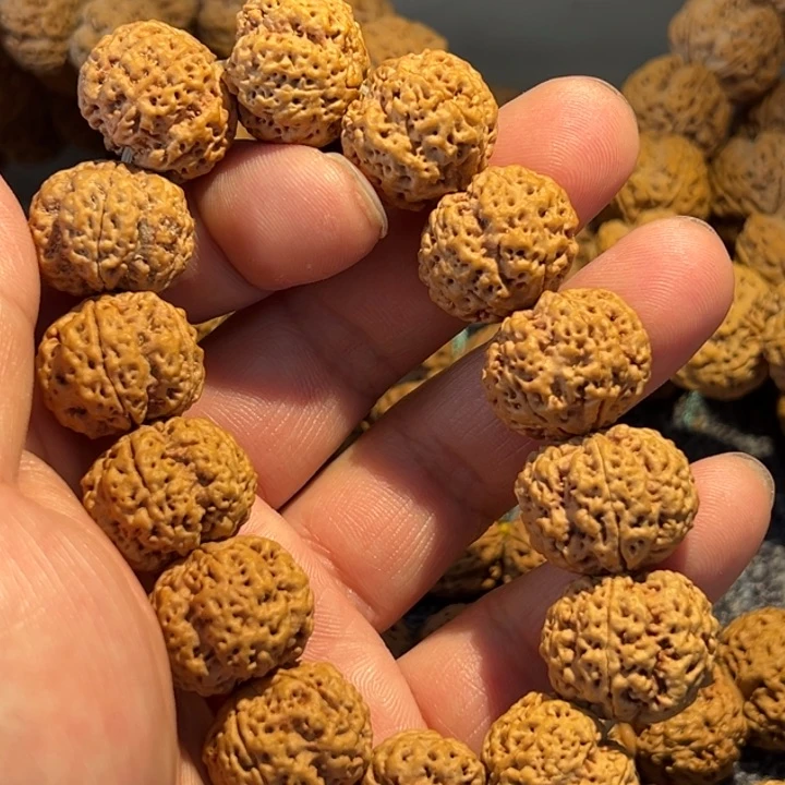 金刚菩提手串F**蟹金刚菩提手串预售20